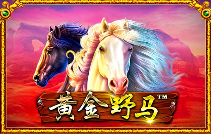 yth2206游艇会官网